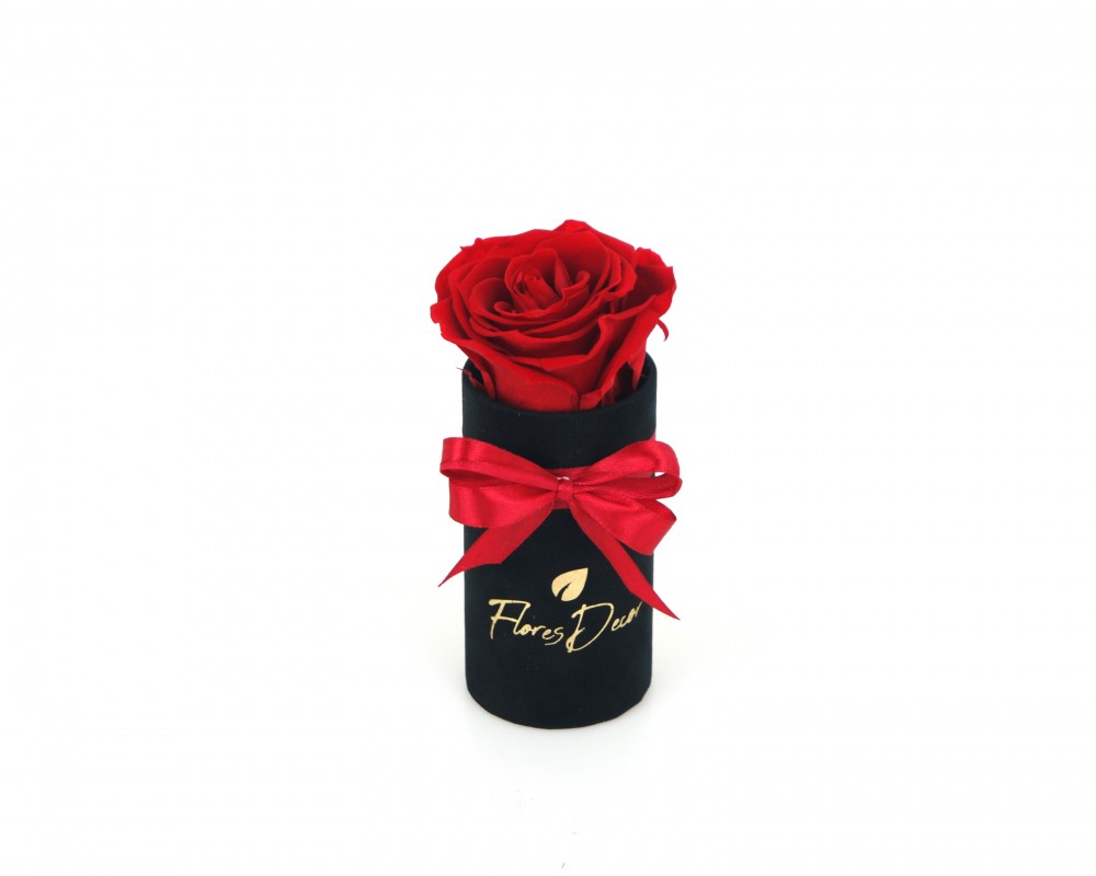 Flower Box “S“  czerwona róża wieczna w czarnym pudełku