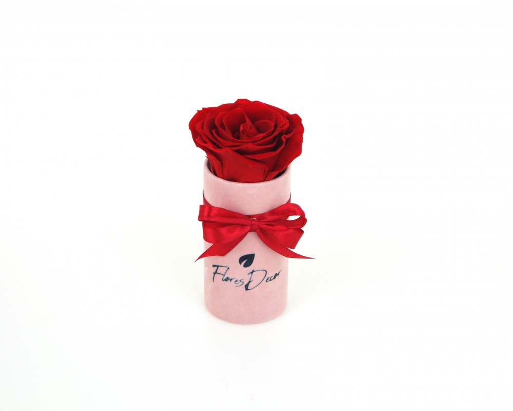 Flower Box “S“ czerwona róża wieczna w różowym pudełku