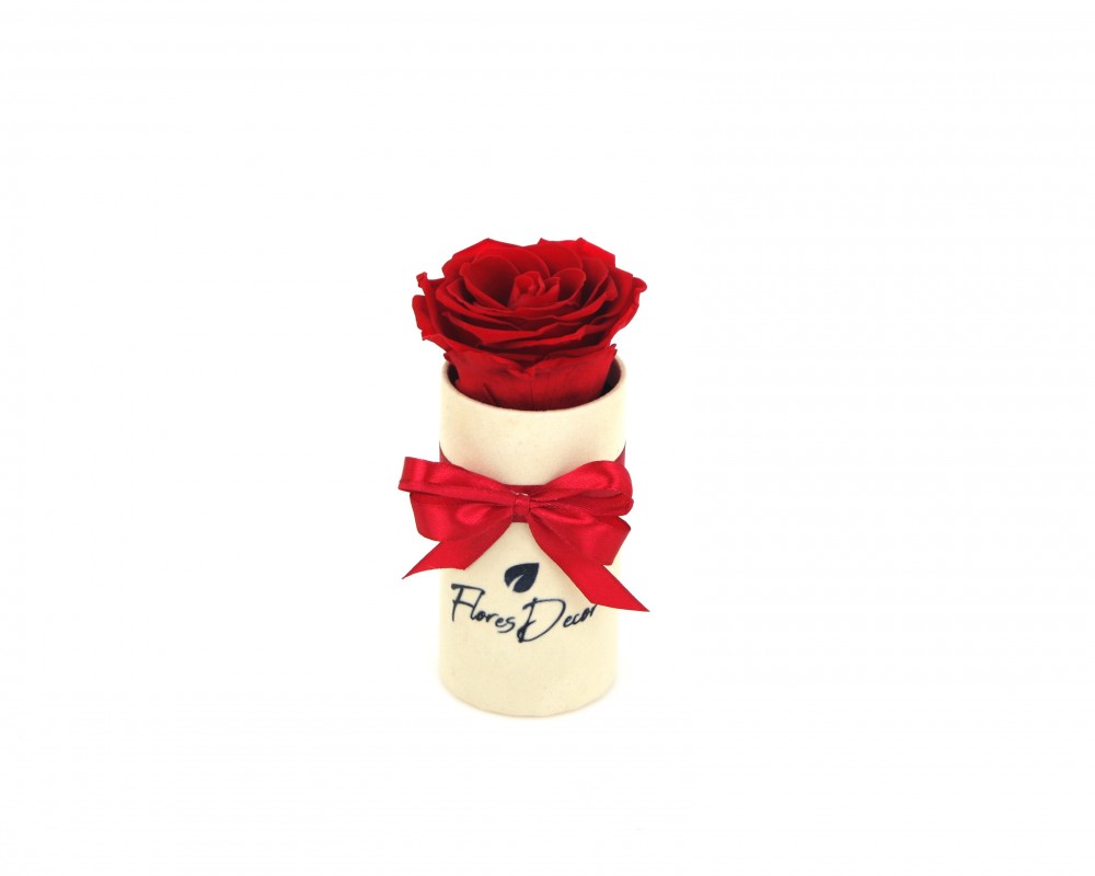 Flower Box “S“ czerwona róża wieczna w kremowym pudełku