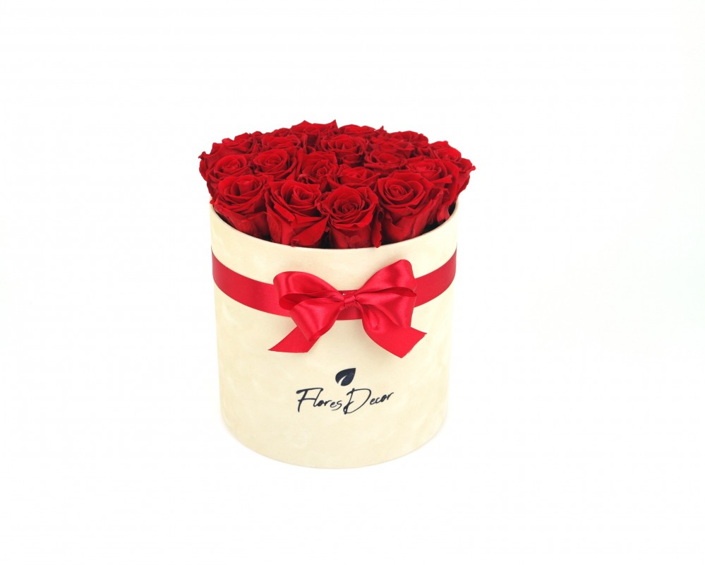 Flower Box “XL“ czerwona róża wieczna w kremowym pudełku