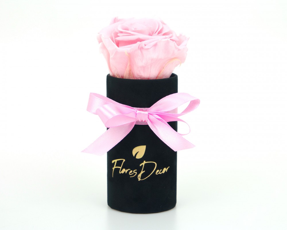 Flower Box “S“ różowa róża wieczna w czarnym pudełku