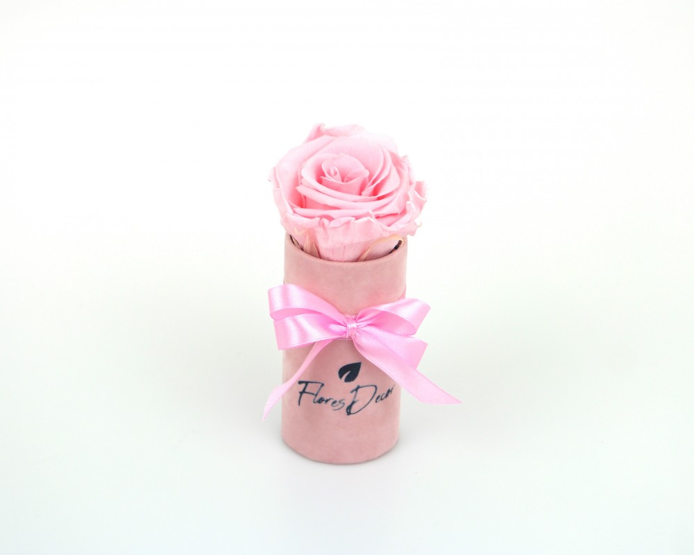 Flower Box “S“ różowa róża wieczna w różowym pudełku